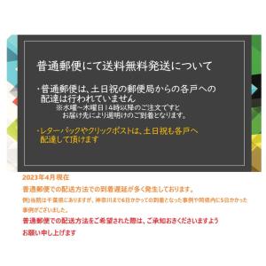 ファイテンパワーテープX30 20マーク お試...の詳細画像3