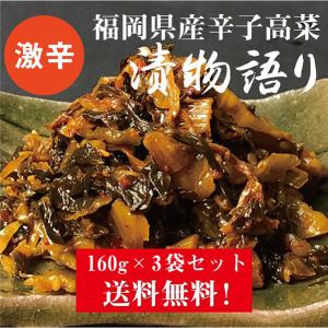 イヌイの福岡県産辛子高菜激辛3袋セット 160g×3袋セット