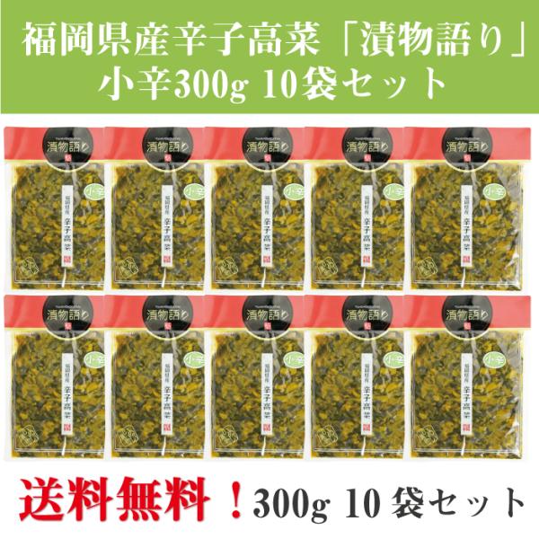 送料無料！イヌイの福岡県産辛子高菜「漬物語り」小辛10袋セット 300g×10袋セット