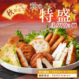 鹿児島 「高浜蒲鉾」 串木野さつま揚げセット さつまあげ 薩摩