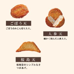 【送料無料】さつま揚げ 月揚庵 ギフト さつま...の詳細画像2