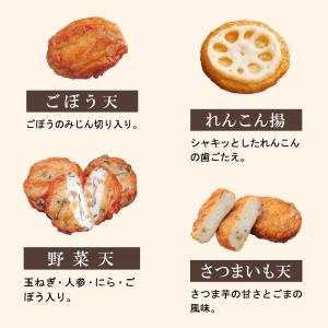 【送料無料】さつま揚げ 月揚庵 ギフト さつま...の詳細画像2