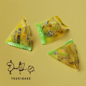 揚げぎんなんテトラ 66ｇ 豆菓子 お菓子 おつまみ 個包装｜tsukigase