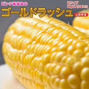 とうもろこし とうきび トウモロコシ ピンク桃部会の大房ゴールドラッシュ　山梨県産　2Lサイズ　2キロ以上　※冷蔵 ○｜tsukiji-ichiba2