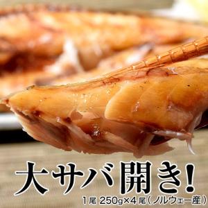 干物 訳あり さば 開き 大きすぎた 「大サバ開き」