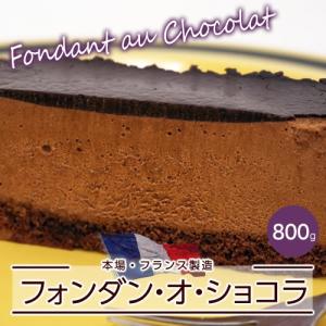 送料無料 フランス直輸入 フォンダンオショコラ チョコレートケーキ 800g 冷凍 Con Imedia Net