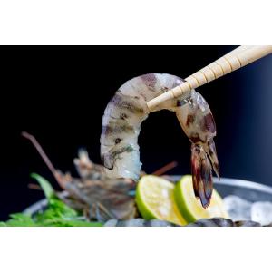 大勧め最新入荷の 刺身用車海老 鹿児島産500g 尾前後 刺身用化粧箱 冷凍送料無料超安い売れ筋no 1の