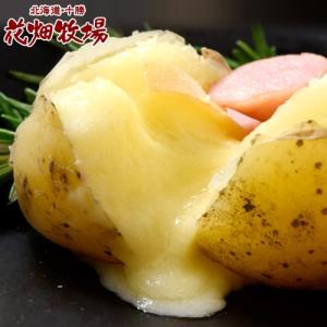 チーズ 花畑牧場 ラクレットチーズ スライス 500g 伸びるチーズ 十勝 北海道 ラクレット raclette ナチュラルチーズ 冷凍 同梱可能