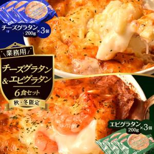 冬季限定 電子レンジで簡単 業務用グラタン2種セット チーズグラタン・エビグラタン 1個当たり200g 各3個 合計6個セット 冷凍 送料無料