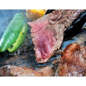 『牛ヒレカット』オーストラリア産  牛肉  ちょっと形の悪いご自宅用 １袋500g ※冷凍　送料無料