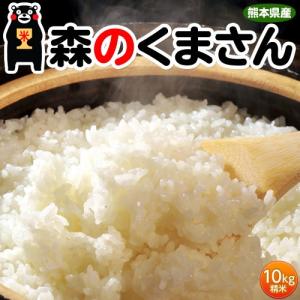 《送料無料》熊本県産　『森のくまさん』　白米　10kg(5kg×2袋)　※常温 【同梱不可】 ○｜tsukiji-ichiba2