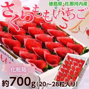 徳島県佐那河内産「さくらももいちご」化粧箱 20〜28粒 約700g 冷蔵 【同梱不可】☆｜tsukiji-ichiba2