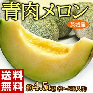 ＜送料無料＞茨城県産『青肉メロン(アンデス・貴味ほか)』大玉3〜5玉　約4.5kg【同梱不可】☆