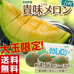 めろん メロン 茨城県産 貴味メロン タカミメロン 青肉 3〜4玉 約4.5kg 同梱不可 送料無料