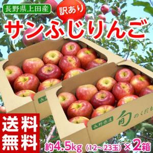 《送料無料》長野県上田の極甘りんご「訳ありサンふじ」約4.5キロ　2箱 ※常温【同梱不可】☆｜tsukiji-ichiba2