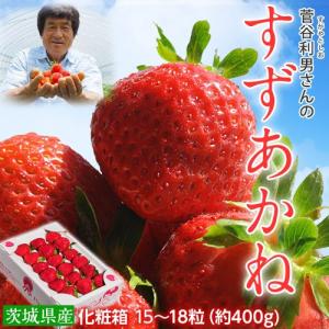 茨城県産　菅谷利男さんの夏いちご「すずあかね」 1箱15〜18粒（約400g）※冷蔵 【同梱不可】☆｜tsukiji-ichiba2