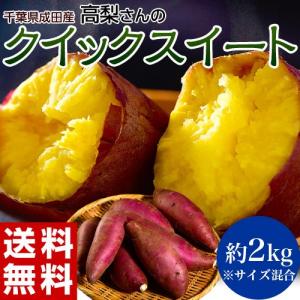 さつまいも 芋 送料無料 千葉県産　高梨さんの「クイックスイート」約2kg(10本前後)｜tsukiji-ichiba2