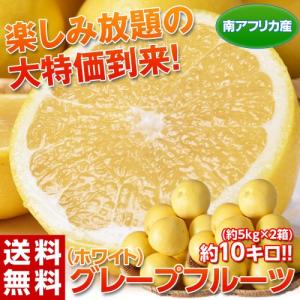 《送料無料》南アフリカ産　グレープフルーツ（ホワイト) 約10kg(約5kg×2箱)　※常温 【同梱不可】 〇｜tsukiji-ichiba2