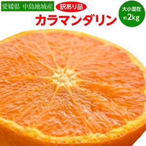 《送料無料》【2・3箱購入は増量】訳ありみかん「カラマンダリ...