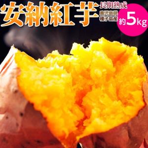 長期熟成 『安納紅芋』 鹿児島県 種子島産 安納芋 正規品 約5kg ※常温 送料無料｜tsukiji-ichiba2