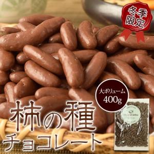 チョコレート 柿の種 ギフト 送料無料 柿の種チョコレート 大容量 400ｇ 常温 ゆうパケット代引不可同梱不可