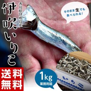 いりこ 送料無料 香川県産 大羽いりこ 大容量 1キロ 業務用 だし 出汁 無添加 煮干し 国産 常温 同梱不可