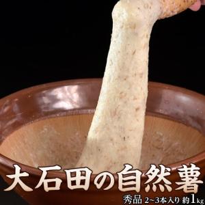 山形県産大石田 雪下 自然薯 じねんじょ 秀品 1キロ（2〜3本入り）