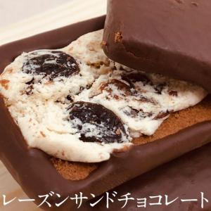 チョコレート 訳あり 坂井宏行 監修 レーズンサンド チョコ 訳アリ 22個 同梱不可 送料無料