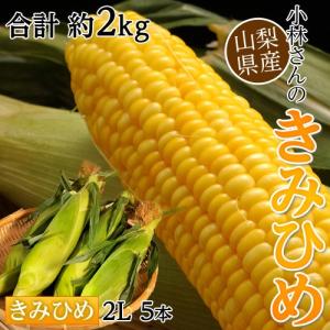 産地直送！　山梨産　『小林さんのきみひめ(とうもころし) 』　5本　約2kg　※冷蔵  【同梱不可】○｜tsukiji-ichiba2