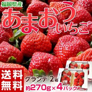 《送料無料》福岡・八女産 あまおういちご G（グランデ） 2箱セット 約270g×4パック　※冷蔵【同梱不可】○｜tsukiji-ichiba2