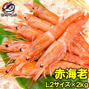 赤海老 赤えび 2kg 特大 L2 40〜60尾 業務用 1箱 赤エビ あかえび