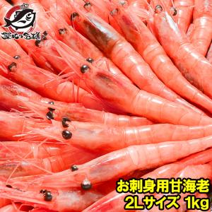 甘エビ お刺身用 甘海老 1kg 大きい 2L サイズ 45尾前後