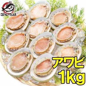 アワビ あわび Lサイズ 1kg 1箱12個入り(殻つきお刺身...