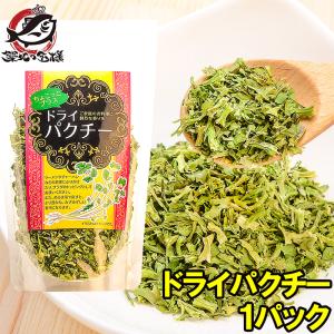 ドライパクチー（25g×1パック） ポイント 消化 メール便｜tsukiji-ousama