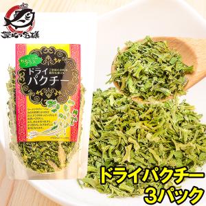 ドライパクチー（25g×3パック） ポイント 消化 メール便｜tsukiji-ousama