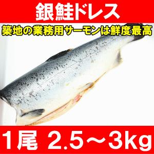 (サーモン 鮭 サケ) 銀鮭ドレス(生 甘口)2.5〜3kg｜tsukiji-ousama