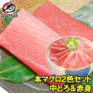 (マグロ まぐろ 鮪) 本まぐろ 中トロ 200g＆赤身200gセット