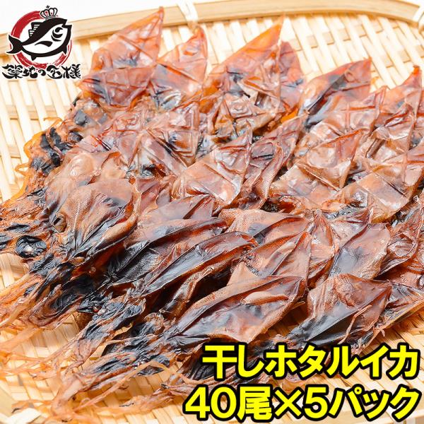 ホタルイカ 素干し 干しほたるいか＜40尾×5パック＞