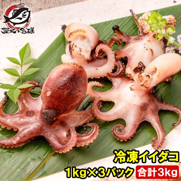 イイダコ いいだこ 業務用 3kg 1kg×3 タコ たこ 蛸 飯蛸 冷凍 バラ凍結 チュクミ ポッ...