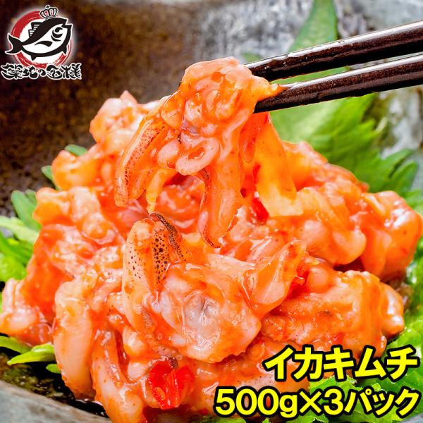 イカキムチ いかキムチ 1.5kg 500g×3パック たっぷり業務用の新鮮イカキムチ