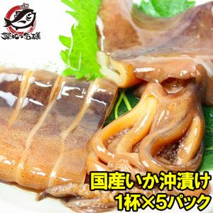お中元 特大函館産 真いかの沖漬け 1杯×5パック いか イカ 烏賊 真イカ