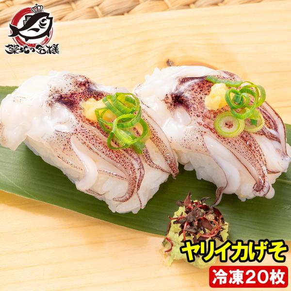 ヤリイカげそ 20枚 寿司ネタ 刺身用 いか イカ 烏賊 イカゲソ いかげそ イカ下足