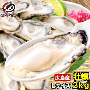 広島産 カキ 牡蠣 かき 2kg Ｌサイズ ( BBQ バーベキュ...