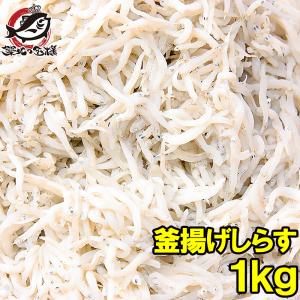 お中元 釜揚げしらす メガ盛り1kg しらす シラス 白子 釜揚げしらす