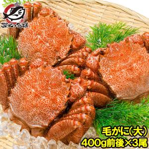 毛ガニ 毛がに 毛蟹 浜茹で 毛ガニ姿 平均 400g ×3尾 合計 約 1.2kg セット かに カニ 蟹 かに鍋 焼きガニ 単品おせち 海鮮おせち