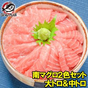 (マグロ まぐろ 鮪) ミナミマグロ 大トロ 中トロ 各200g豪華2色セット