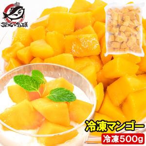 父の日 マンゴー 冷凍マンゴー 合計1kg 500g×2パック カットマンゴー 