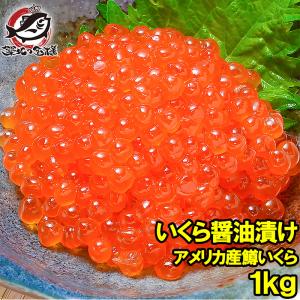 イクラ醤油漬け 1kg 500g×2箱 アメリカ産 北海道製造