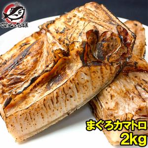 まぐろカマ 2kg前後 (まぐろのカマ カマトロ まぐろ マグロ 鮪) 単品おせち 海鮮おせち｜tsukiji-ousama