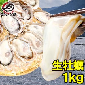 生牡蠣 1kg 生食用カキ（冷凍時1kg 解凍後850g 冷凍む...